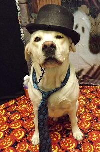 Sawyer Hal 2013.jpg